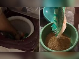 गेहूं धोने के बाद सुखाने के लिए बंदे ने लगाया ऐसा तगड़ा जुगाड़, देखकर लोग बोले- भाई ने Einstein वाला दिमाग पाया है गेहूं धोने के बाद सुखाने के लिए बंदे ने लगाया ऐसा तगड़ा जुगाड़, देखकर लोग बोले- भाई ने Einstein वाला दिमाग पाया है