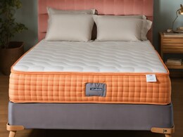 मैटर्स से आ रही है स्मैल, लग गए हैं इस पर दाग-धब्बे? जानें गद्दों की देखभाल कैसे करें मैटर्स से आ रही है स्मैल, लग गए हैं इस पर दाग-धब्बे? जानें गद्दों की देखभाल कैसे करें