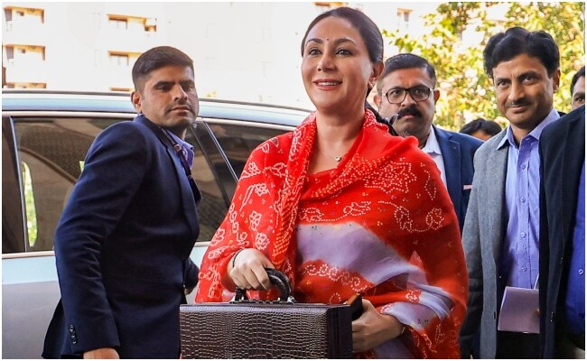 Diya Kumari Interview: 'सीतारमण को देखकर हैंडक्राफ्टेड साड़ी पहनी',  राजस्थान में बजट भाषण के बाद बोलीं दिया कुमारी | Exclusive: FM Diya Kumari  First Interview after presenting ...