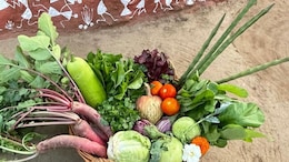 Celebrity Nutritionist Rujuta Diwekar Defends <i>Ghar Ka Khana</i> After Nikhil Kamath's Viral Post