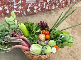 Celebrity Nutritionist Rujuta Diwekar Defends <i>Ghar Ka Khana</i> After Nikhil Kamath's Viral Post Celebrity Nutritionist Rujuta Diwekar Defends <i>Ghar Ka Khana</i> After Nikhil Kamath's Viral Post