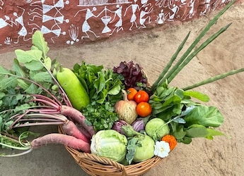 Celebrity Nutritionist Rujuta Diwekar Defends Ghar Ka Khana After Nikhil Kamath's Viral Post Celebrity Nutritionist Rujuta Diwekar Defends Ghar Ka Khana After Nikhil Kamath's Viral Post