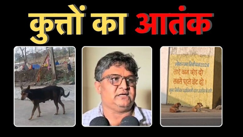 Legal Notice: कुत्तों से परेशान हो गए बुंदेलखंड मेडिकल कॉलेज के प्रोफेसर,नगर निगम आयुक्त को भेज दिया लीगल नोटिस