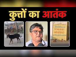 Legal Notice: कुत्तों से परेशान हो गए बुंदेलखंड मेडिकल कॉलेज के प्रोफेसर,नगर निगम आयुक्त को भेज दिया लीगल नोटिस Legal Notice: कुत्तों से परेशान हो गए बुंदेलखंड मेडिकल कॉलेज के प्रोफेसर,नगर निगम आयुक्त को भेज दिया लीगल नोटिस