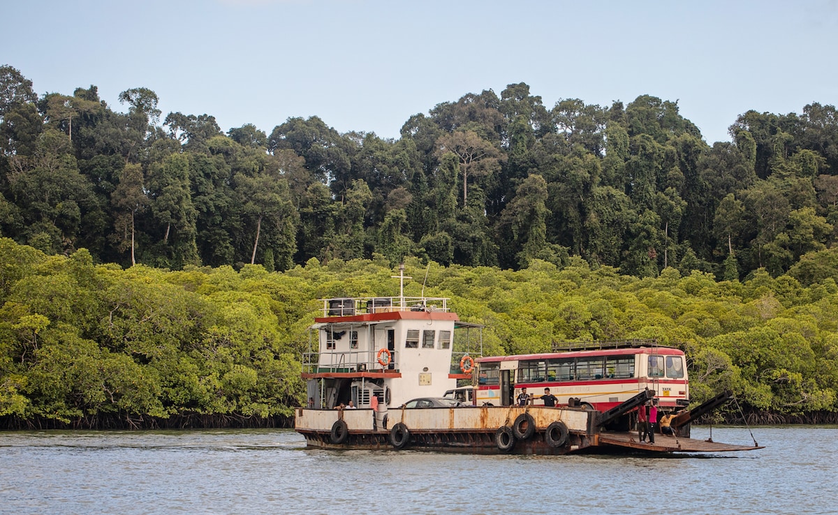 Baratang Island. Photo: iStock Baratang Island. Photo: iStock