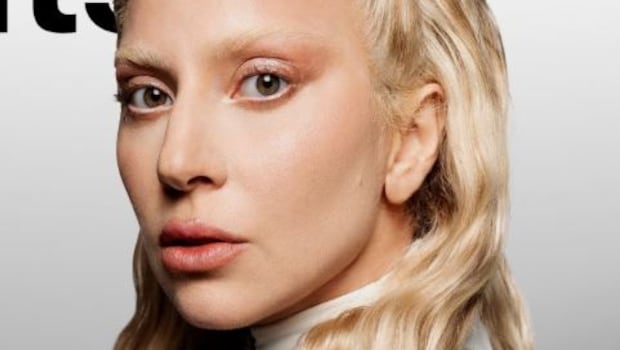 Lady Gaga Adds This To Her Red Wine, And The Internet Cannot Decide How To Feel