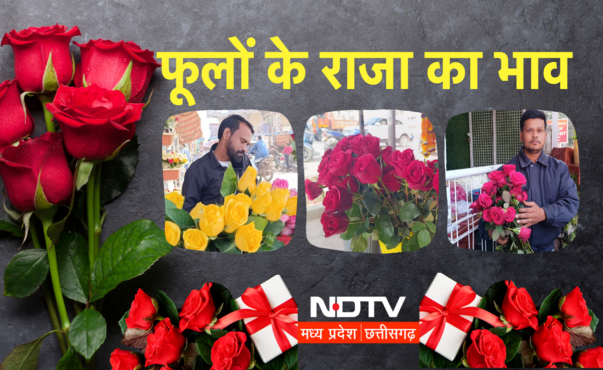 रोज नहीं आता Rose Day! 4 गुना तक बढ़ें गुलाबों के भाव, डिमांड व सप्लाई को लेकर दुकानदारों ने ये कहा?