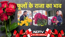 Valentine Week 2026: भोपाल के फूल बाजारों में खिली मोहब्बत; ऐसा है वैलेंटाइन वीक 2026 का माहौल