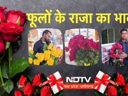 Valentine Week 2026: भोपाल के फूल बाजारों में खिली मोहब्बत; ऐसा है वैलेंटाइन वीक 2026 का माहौल