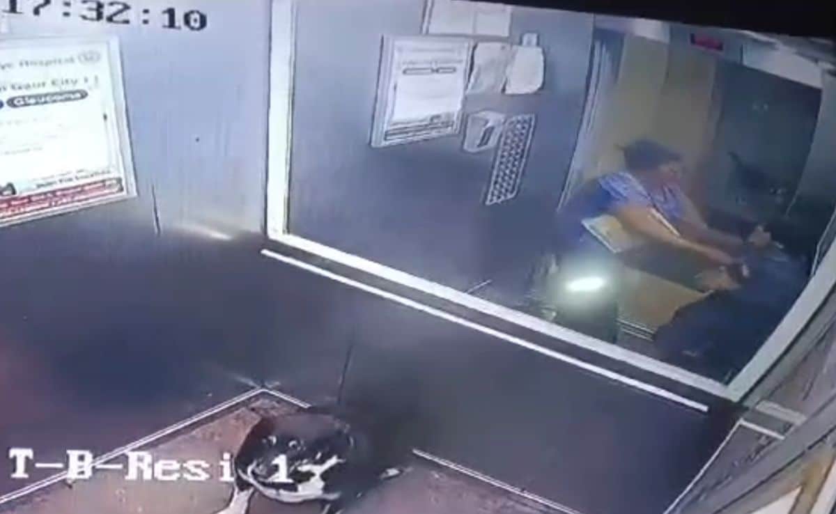 Boy Asks Woman Not To Bring Unleashed Dog Inside Lift. Then This Happens Boy Asks Woman Not To Bring Unleashed Dog Inside Lift. Then This Happens