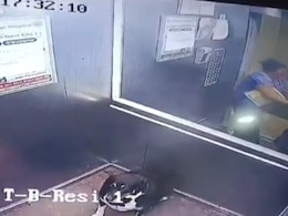 Boy Asks Woman Not To Bring Unleashed Dog Inside Lift. Then This Happens Boy Asks Woman Not To Bring Unleashed Dog Inside Lift. Then This Happens