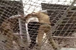 Man Jumps Off 7th Floor Of State Secretariat In Mumbai, Lands On Safety Net Man Jumps Off 7th Floor Of State Secretariat In Mumbai, Lands On Safety Net