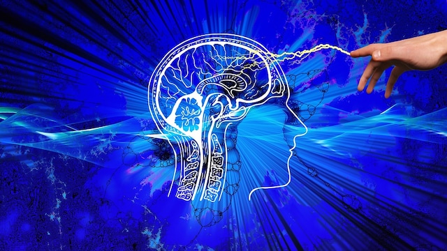 Avoiding such foods is essential for preserving brain sharpness & mental clarity