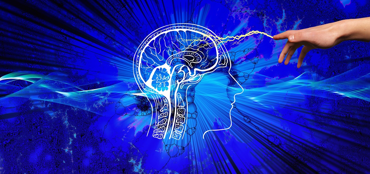 Avoiding such foods is essential for preserving brain sharpness & mental clarity