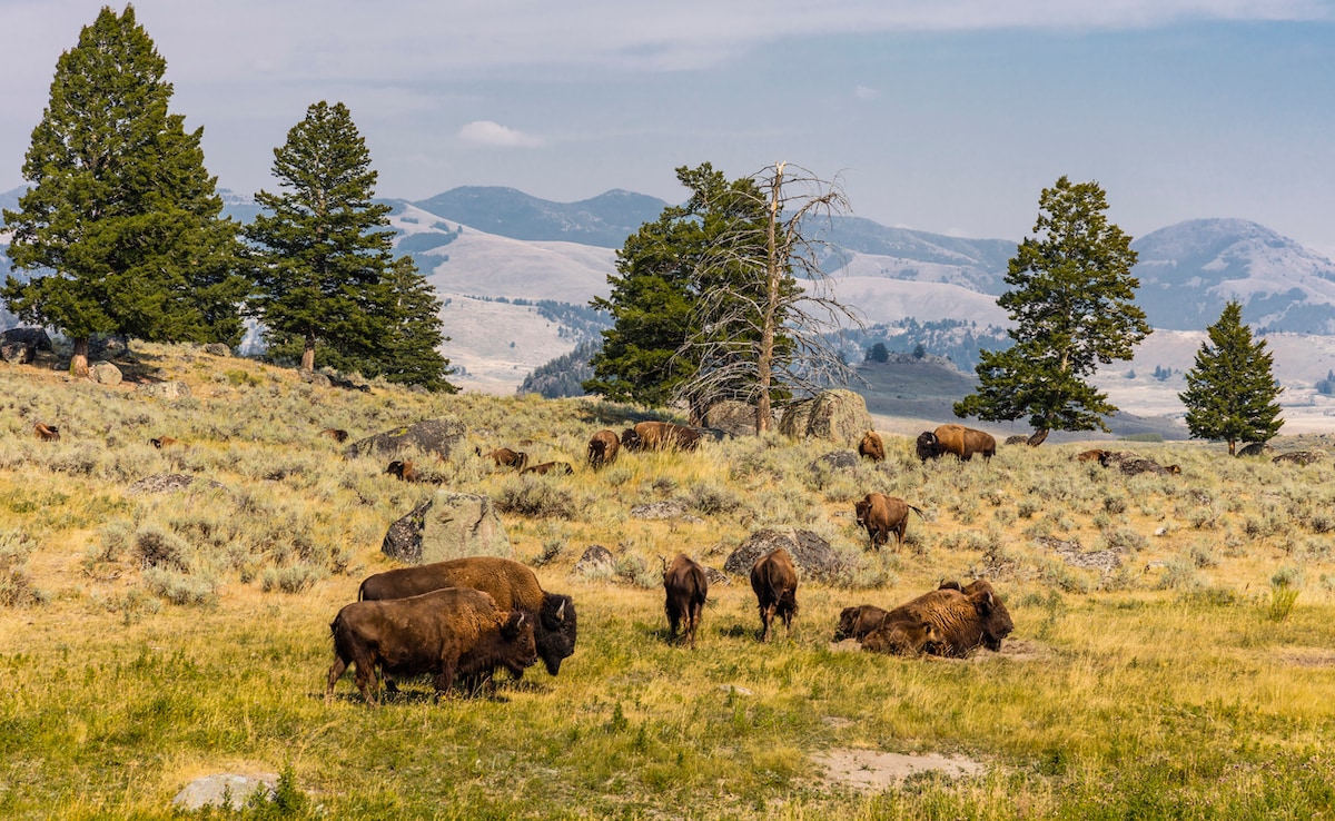 Lamyar Valley. Photo: iStock