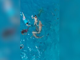 Maldives में समंदर में गोते लगा रही महिला पर शार्क ने किया हमला, चबा डाली हाथों की उंगलियां Maldives में समंदर में गोते लगा रही महिला पर शार्क ने किया हमला, चबा डाली हाथों की उंगलियां