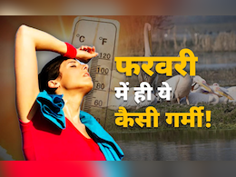 फूल जल्दी खिल गए, परिंदे भी हैरान... फरवरी में ही अप्रैल जैसी गर्मी,  कहां खो गया बसंत? फूल जल्दी खिल गए, परिंदे भी हैरान... फरवरी में ही अप्रैल जैसी गर्मी,  कहां खो गया बसंत?