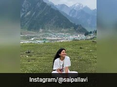 Sai Pallavi Speaks About Her New Hobby Of Beekeeping: "I Get Stung A Little"