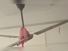 Rajasthan: युवक ने इंस्टाग्राम पर लाइव ऑन किया और लगा ली फांसी, प्रेम-प्रसंग से जुड़ा बताया जा रहा मामला  Rajasthan: युवक ने इंस्टाग्राम पर लाइव ऑन किया और लगा ली फांसी, प्रेम-प्रसंग से जुड़ा बताया जा रहा मामला
