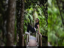 Sara Tendulkar Is Busy Doing "Monkey Business" At The Tamborine Rainforest Skywalk, All About This Tourist Attraction Sara Tendulkar Is Busy Doing "Monkey Business" At The Tamborine Rainforest Skywalk, All About This Tourist Attraction