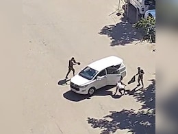 Video: Bees Swarm Haryana Secretariat, 2 Paramilitary Force Personnel Injured