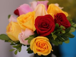 Rose Day 2025: आज है वैलेंटाइन वीक का पहला दिन रोज़ डे, जानिए किस रंग के गुलाब का क्या है मतलब  Rose Day 2025: आज है वैलेंटाइन वीक का पहला दिन रोज़ डे, जानिए किस रंग के गुलाब का क्या है मतलब
