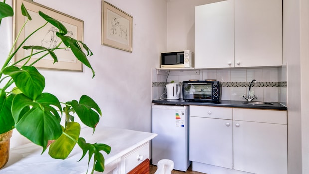 Compact Refrigerators: Are They Worth Your Investment?