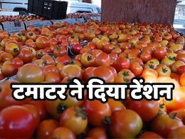 छत्तीसगढ़ में किसान करें तो क्या करें? अब 1 रु. में बिक रहा है 100 रुपये किलो वाला टमाटर , वजह क्या? छत्तीसगढ़ में किसान करें तो क्या करें? अब 1 रु. में बिक रहा है 100 रुपये किलो वाला टमाटर , वजह क्या?