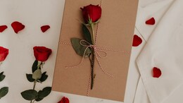 Rose Day To Promise Day, What Each Day Of Valentine's Week Signify