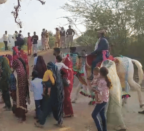 Rajasthan: 4 थानों की फोर्स के प्रोटेक्शन में दलित दूल्हे की निकली बारात, घोड़ी पर नहीं बैठने की दी थी धमकी