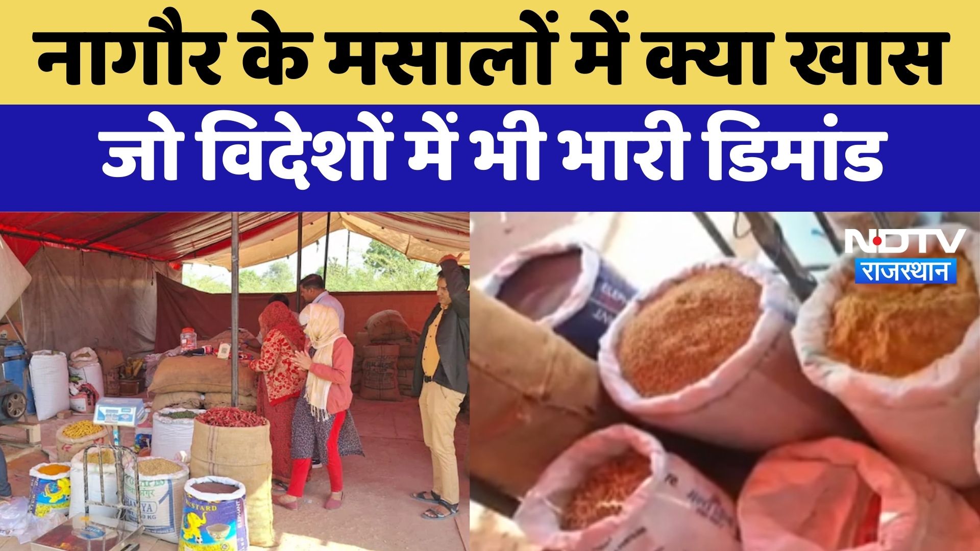 Nagaur Spices' Fair : नागौर के मसालों में क्या खास, जो विदेशों में भी भारी Demand