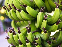 10 Health Benefits Of Adding Green Bananas To Your Diet