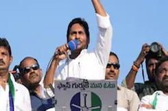 Tirumala Board Blames Ex-CM Jagan Over Tirumala Ghee Adulteration Tirumala Board Blames Ex-CM Jagan Over Tirumala Ghee Adulteration