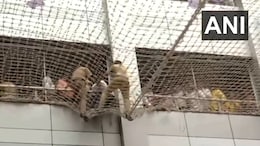 Man Jumps Off 7th Floor Of State Secretariat In Mumbai, Lands On Safety Net