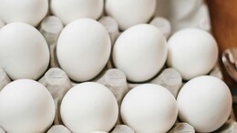 Amid Rising Prices, 1 Lakh Eggs Stolen From Distribution Truck In US
