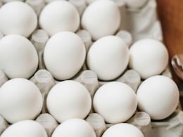 Amid Rising Prices, 1 Lakh Eggs Stolen From Distribution Truck In US Amid Rising Prices, 1 Lakh Eggs Stolen From Distribution Truck In US