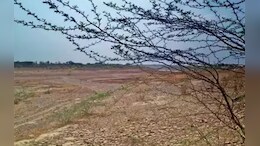 Rajasthan: बांसवाड़ा में अफसरों ने कर दिया 40 करोड़ का घोटाला,&nbsp;131 बीघा सरकारी जमीन में भ्रष्टाचार का हुआ ख़ुलासा&nbsp;