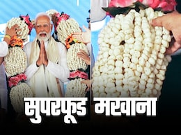 देखते-देखते कैसे सुपरफूड बन गया मखाना, देश में कहां कहां होती है खेती देखते-देखते कैसे सुपरफूड बन गया मखाना, देश में कहां कहां होती है खेती