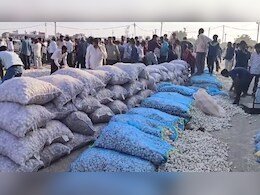एमपी में क्यों लुढ़क गए लहसुन के भाव, पिछले साल के मुकाबले 10 गुना गिरावट, चिंता में नीमच के किसान