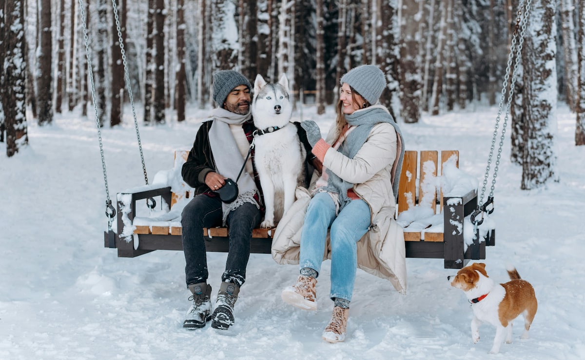Wolves Domesticated Themselves Into Dogs To Have Easy Access To Food: Study
