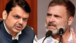 "Maharashtra Won't Forgive You": D Fadnavis On Rahul Gandhi's Poll Claim