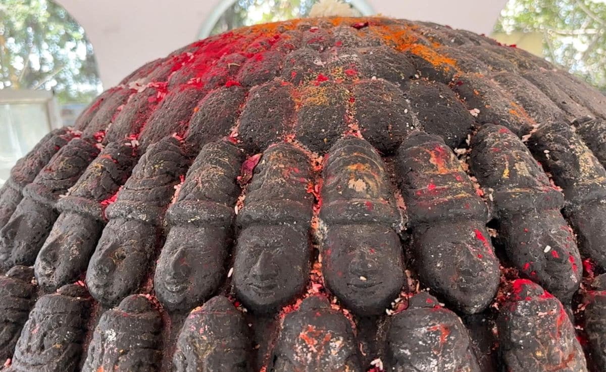 Latest and Breaking News on NDTV