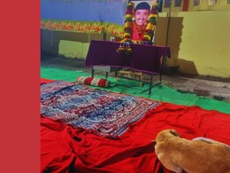 Santosh Deshmukh's Dog : संतोष देशमुखांचा 'राजू' अजूनही मंडपातच; पण भाऊ म्हणाले, 'त्याचा मालक आता....'