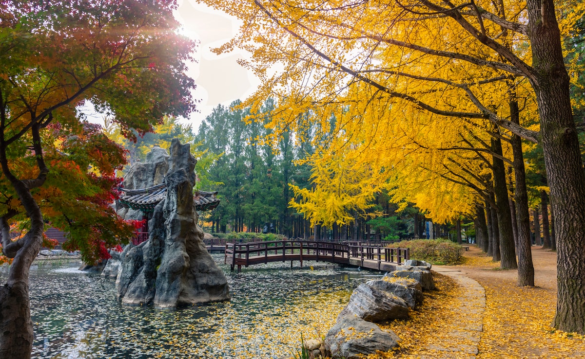 Nami Island. Photo: iStock
