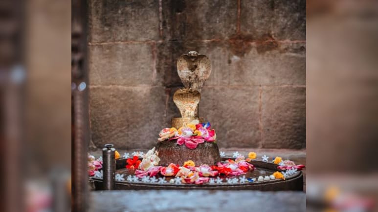 Nag Panchami 2025: नागपूजनाचे आणि उपवासाचे महत्त्व, नागपंचमी सणाचा इतिहासही जाणून घ्या