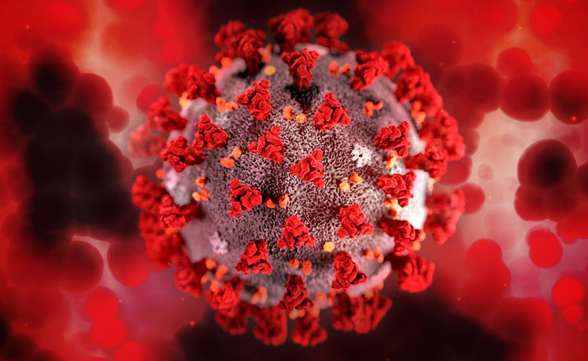 Fever, vomiting and internal bleeding were identified as initial symptoms