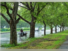 दिल्ली में ग्रीन कवर बढ़ाने के लिए सुप्रीम कोर्ट ने  विशेषज्ञ एजेंसी का गठन किया दिल्ली में ग्रीन कवर बढ़ाने के लिए सुप्रीम कोर्ट ने  विशेषज्ञ एजेंसी का गठन किया
