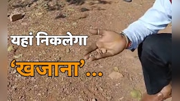 एमपी के इस शहर में दबा है &lsquo;अकूत खजाना&rsquo;, निकलेंगे सोने-चांदी और हीरे! 2026 से शुरू होगी खुदाई