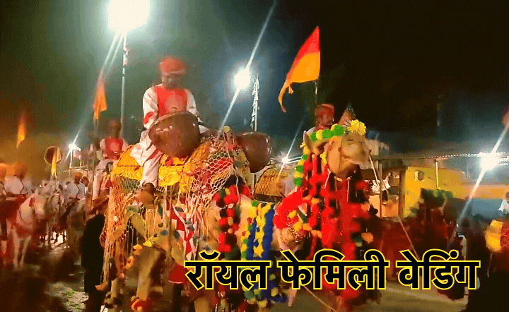 Royal Weddings: बस्तर में निकली पूर्व राजपरिवार की शाही बारात, हाथी, घोड़े और ऊंटों के साथ नजर आए राजा कमलचंद भंजदेव