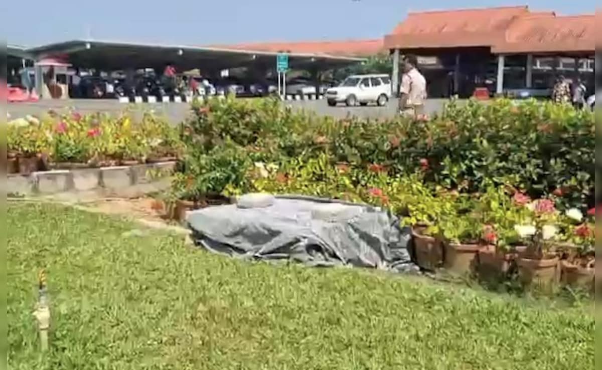 3-Year-Old Boy Dies After Falling Into Canal At Cochin Airport 3-Year-Old Boy Dies After Falling Into Canal At Cochin Airport